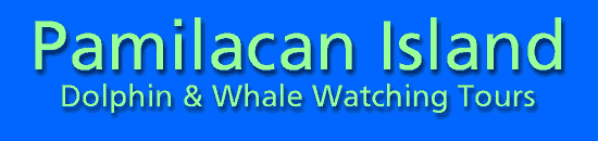 Pamilacan Island Whale and Dolphin Watching Tours