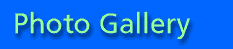 Photo Gallery